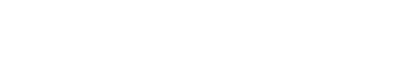 The Inbestigators