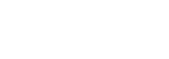 The Librarians