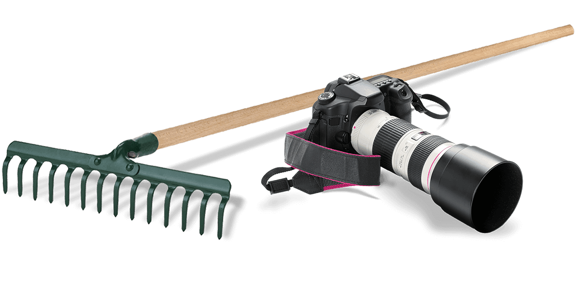 Rake and camera from Now Add Honey