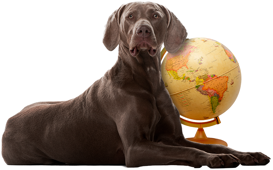 The dog and globe from Small Tales & True